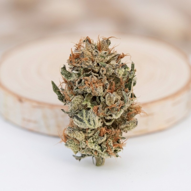 Fleur de CBD Bubba 98 N°21 française bio