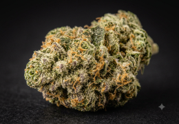 Skunk CBD : la variété et nos fleurs au profil proche