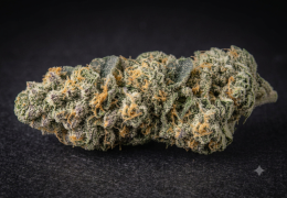 Harle-Tsu CBD : la variété et nos fleurs au profil proche