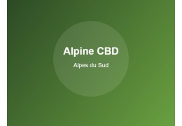 CBD et douleurs : approche naturelle du confort quotidien