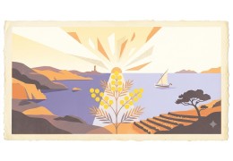 Mimosa CBD : arômes d'agrumes, origine et fleurs au profil proche