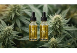 CBD et CBG : Deux Cannabinoïdes Complémentaires