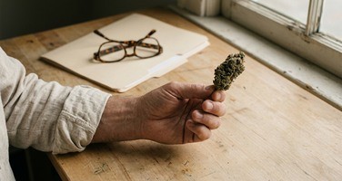 Fleur de CBD en France : où en est vraiment la loi en 2026 ?