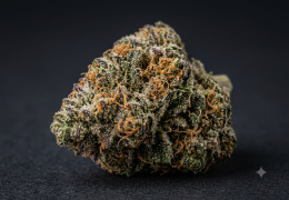AK-47 CBD : la variété et nos fleurs au profil proche